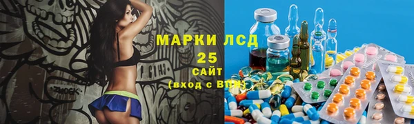 индика Белокуриха