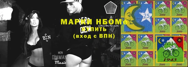 индика Белокуриха