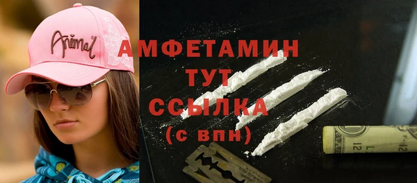 индика Белокуриха