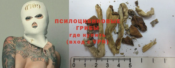 спиды Беломорск