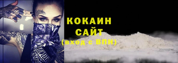 индика Белокуриха