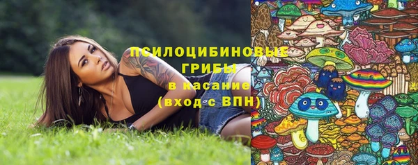 спиды Беломорск