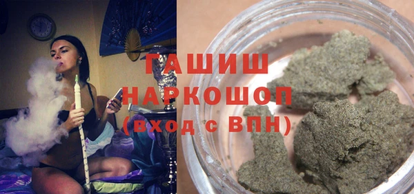 индика Белокуриха