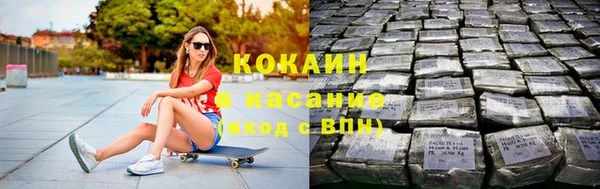 индика Белокуриха