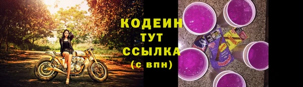 индика Белокуриха