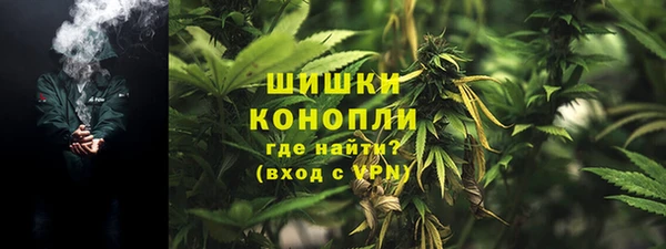 гашик Белоозёрский